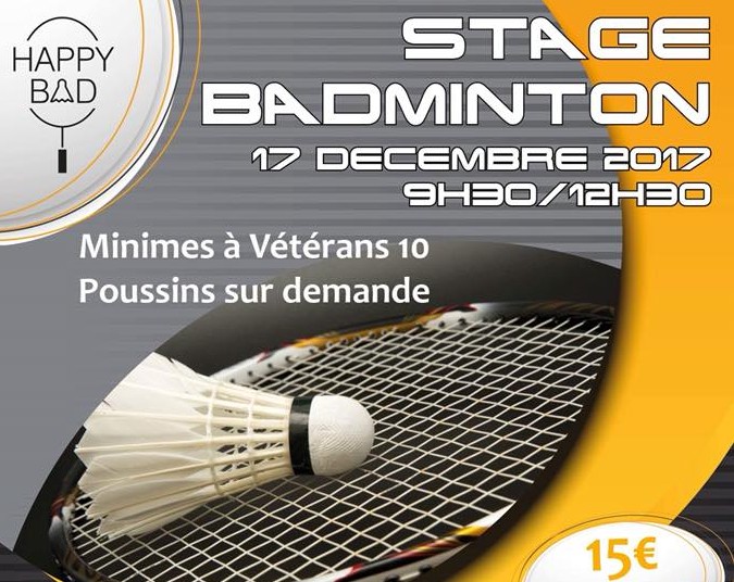 Stage de badminton